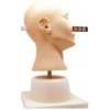 ADVANCED EAR DIAGNOSTIC SIMULATOR (SOFT)